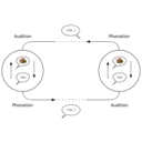 download The Speech Circuit Acc To De Saussure clipart image with 270 hue color