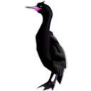 download Cormorant clipart image with 270 hue color