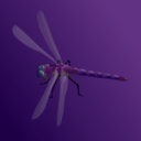 download Blue Dragonfly clipart image with 45 hue color