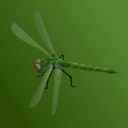 download Blue Dragonfly clipart image with 225 hue color