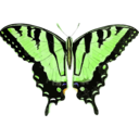 download Papilio Glaucus clipart image with 45 hue color