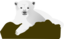 Knut The Polar Bear