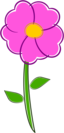 Flower Flor