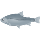 download Fish clipart image with 180 hue color