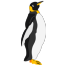 Architetto Pinguino 1