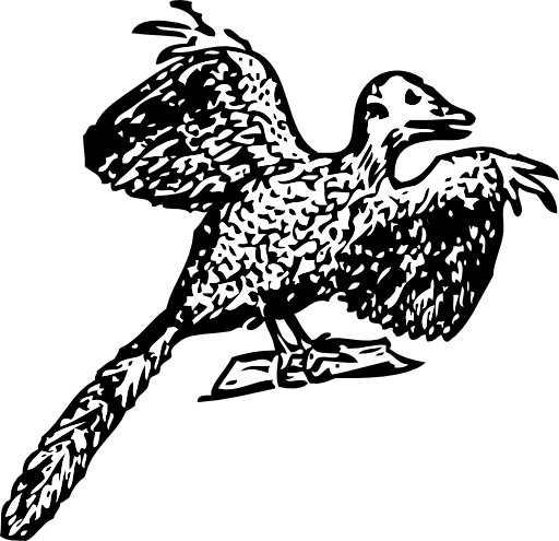 Archaeopteryx