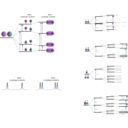 download Nmr Scalar Coupling Schemes clipart image with 90 hue color