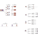 download Nmr Scalar Coupling Schemes clipart image with 180 hue color