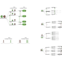 download Nmr Scalar Coupling Schemes clipart image with 270 hue color