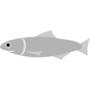 download Anchovy Fish clipart image with 45 hue color