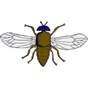 download Blue Bottle Fly clipart image with 225 hue color