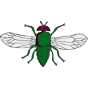 download Blue Bottle Fly clipart image with 315 hue color