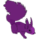 download Squirrel clipart image with 270 hue color