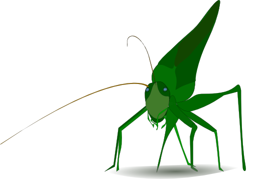 Grasshopper