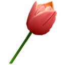 download Pink Tulip clipart image with 0 hue color