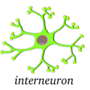 download Neuron Interneuron clipart image with 45 hue color