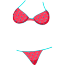 download Bikini clipart image with 180 hue color