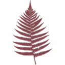 download Fern Leaf clipart image with 225 hue color