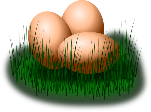 Egg In Grass