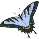 download Butterfly Papillon clipart image with 180 hue color