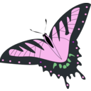 download Butterfly Papillon clipart image with 270 hue color