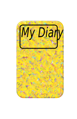 Diary 2