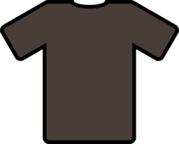 Brown T Shirt