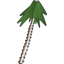 Leaning Palm Tree