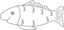 Pesce D Aprile