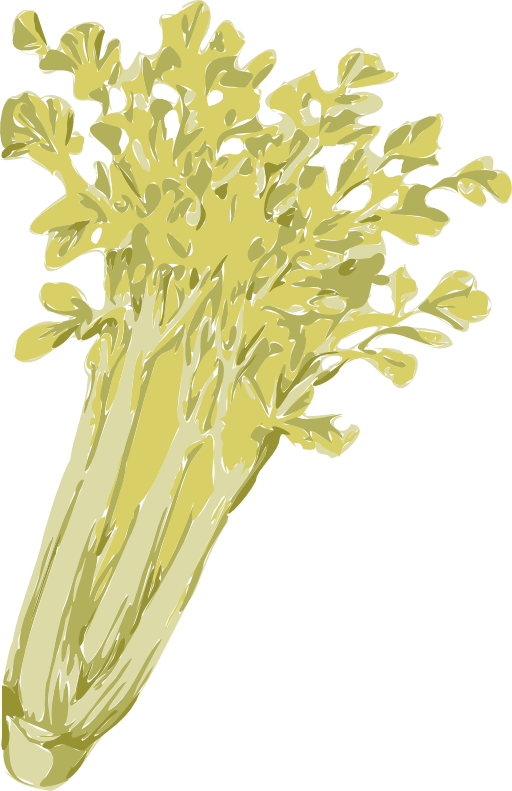 Celery