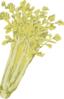 Celery