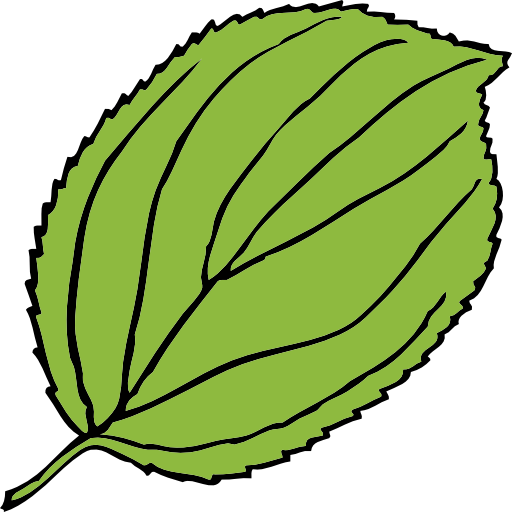 Serrate Leaf