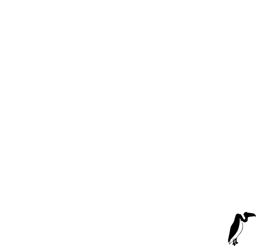Vulture Silhouette