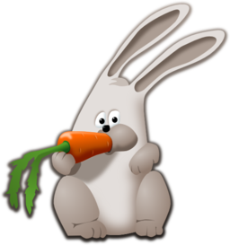 Bunny Eating Carrot