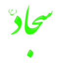 download Alinn Imam Sajjad As clipart image with 225 hue color