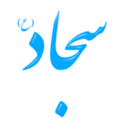 download Alinn Imam Sajjad As clipart image with 315 hue color