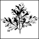 download Parsley clipart image with 180 hue color