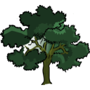 download Oak Tree clipart image with 45 hue color