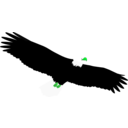 download Eagle clipart image with 90 hue color