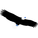 download Eagle clipart image with 180 hue color