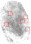 Fingerprint