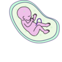 download Human Embryo clipart image with 270 hue color