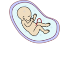 download Human Embryo clipart image with 0 hue color