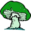 download Big Mushroom clipart image with 90 hue color