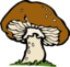 Big Mushroom