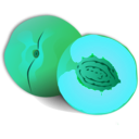 download Peach clipart image with 135 hue color