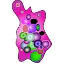 download Microbe Icon clipart image with 270 hue color