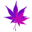 download Kaede clipart image with 270 hue color