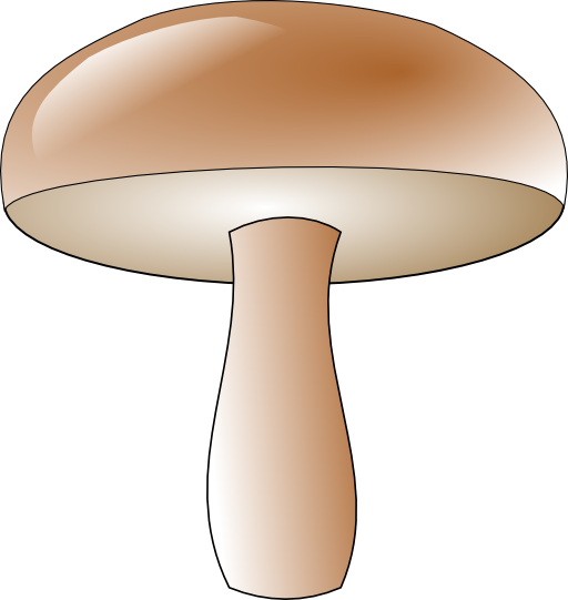 Champignon