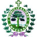 download Escudo De La Municipalidad De Empedrado clipart image with 90 hue color